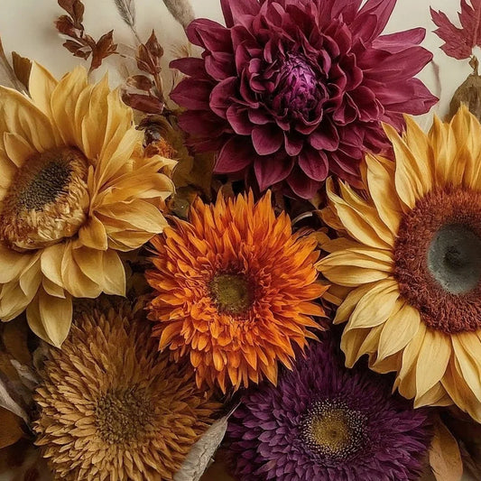 HARVEST BLOOM