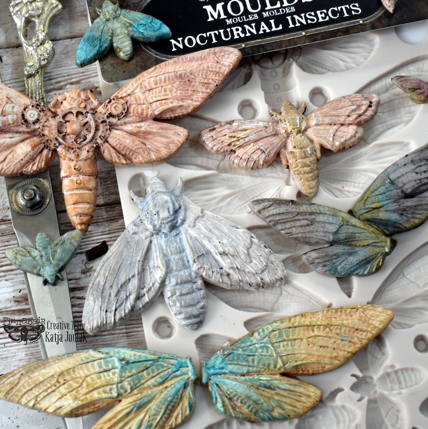 NOCTURNAL INSECTS