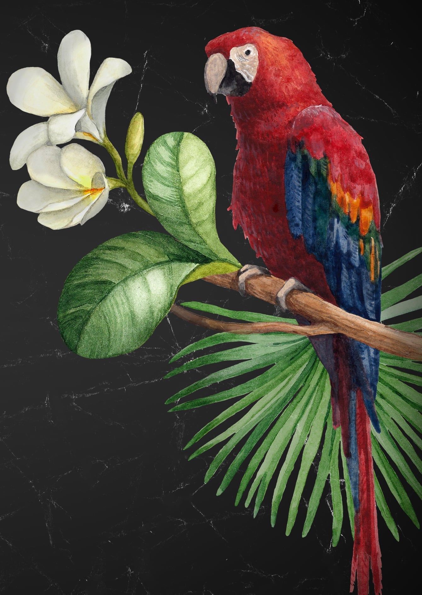PARROT