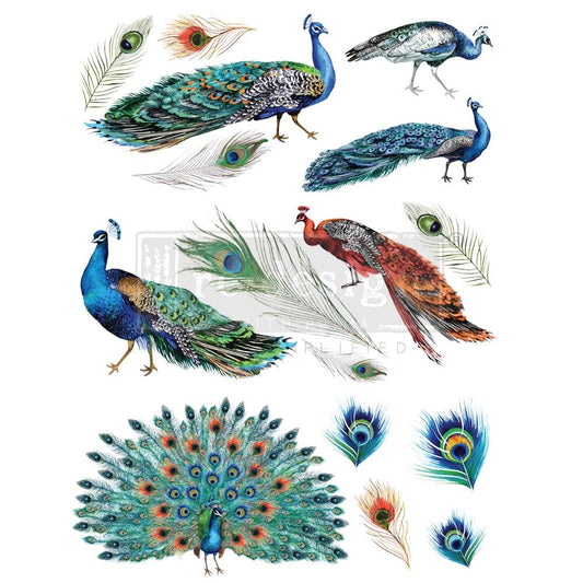 PEACOCK DREAMS