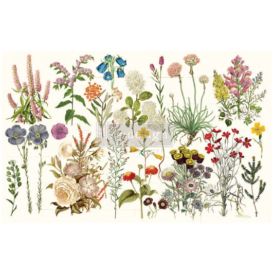 WILD HERB
