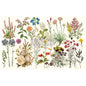 WILD HERB