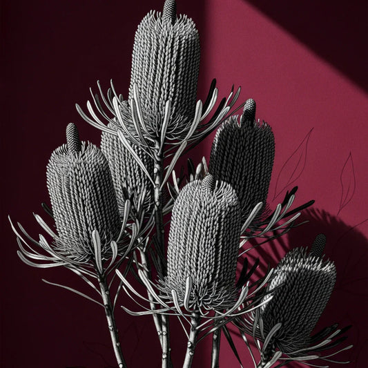 WINE BANKSIA
